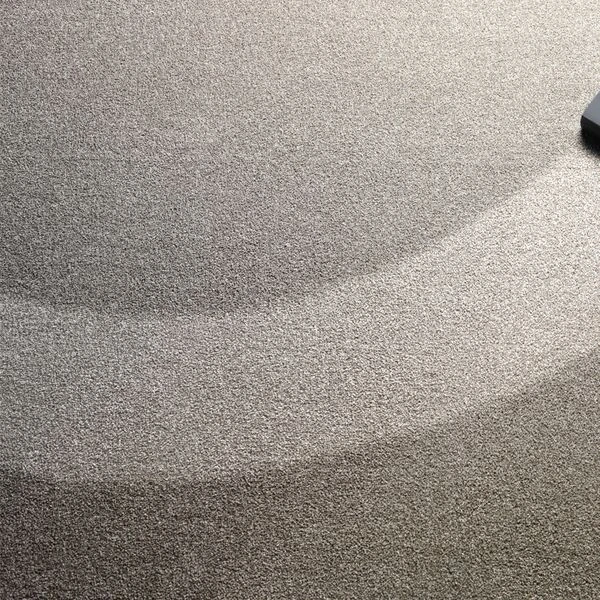 Bürste Für BSW100 5 Bürste Für BSW100 – Bild 5