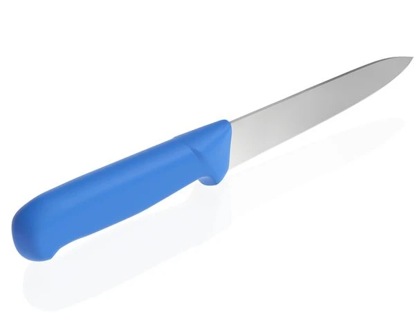 Tranchiermesser - 20 Cm - Blau 1 Tranchiermesser - 20 Cm - Blau