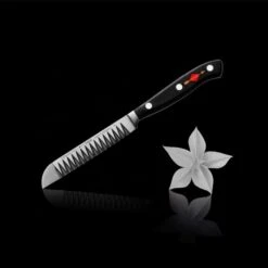 F. DICK | Premier Plus - Buntschneidemesser - Klinge 10cm -Koch Set Haus BSMFD10 room 1 6274