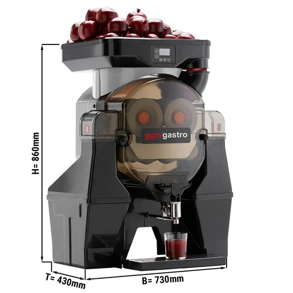 Elektrische Fruchtsaftpresse - Silber - Manuelle Zufuhr - Inkl. Regulierbarem Ablasshahn 1 Elektrische Fruchtsaftpresse - Silber - Manuelle Zufuhr - Inkl. Regulierbarem Ablasshahn