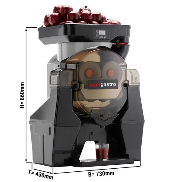 Elektrische Fruchtsaftpresse - Silber - Manuelle Zufuhr - Inkl. Automatischem Reinigungsmodus 1 Elektrische Fruchtsaftpresse - Silber - Manuelle Zufuhr - Inkl. Automatischem Reinigungsmodus